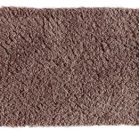 Bold Indulgence carpet - 068
